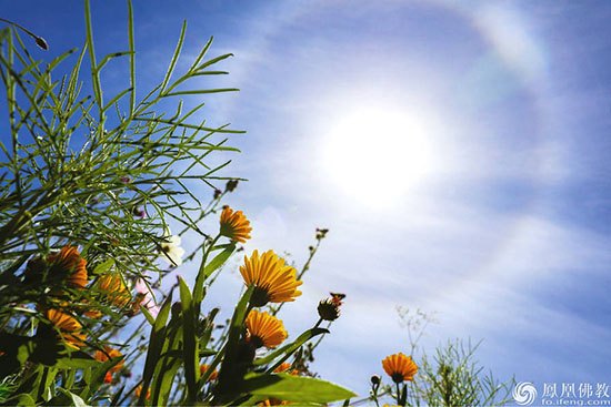 发用电计划全面放开这些变化在路上“米兰官方网站”(图3) milan米兰