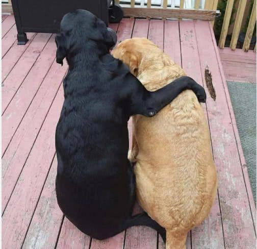 milan米兰app官网|秦山核电:35万千瓦试运行圆满成功(图3) milan米兰