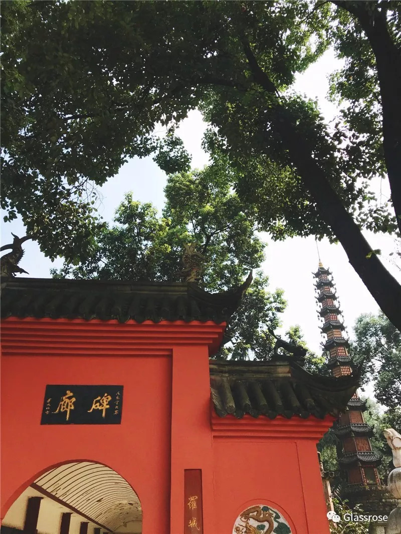 milan米兰app官网:2019年中国货物贸易进出口总值超31万亿元再创新高(图1) milan米兰